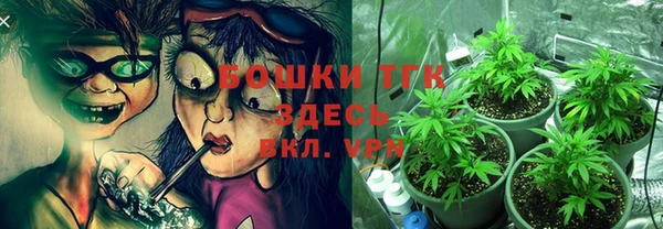спайс Беломорск