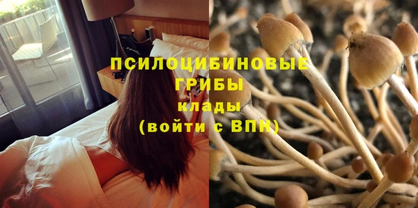 ECSTASY Балабаново
