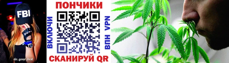 Купить где  Славск  Бошки марихуана семена 